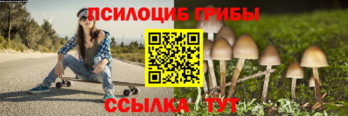 Галлюциногенные грибы MAGIC MUSHROOMS Кольчугино