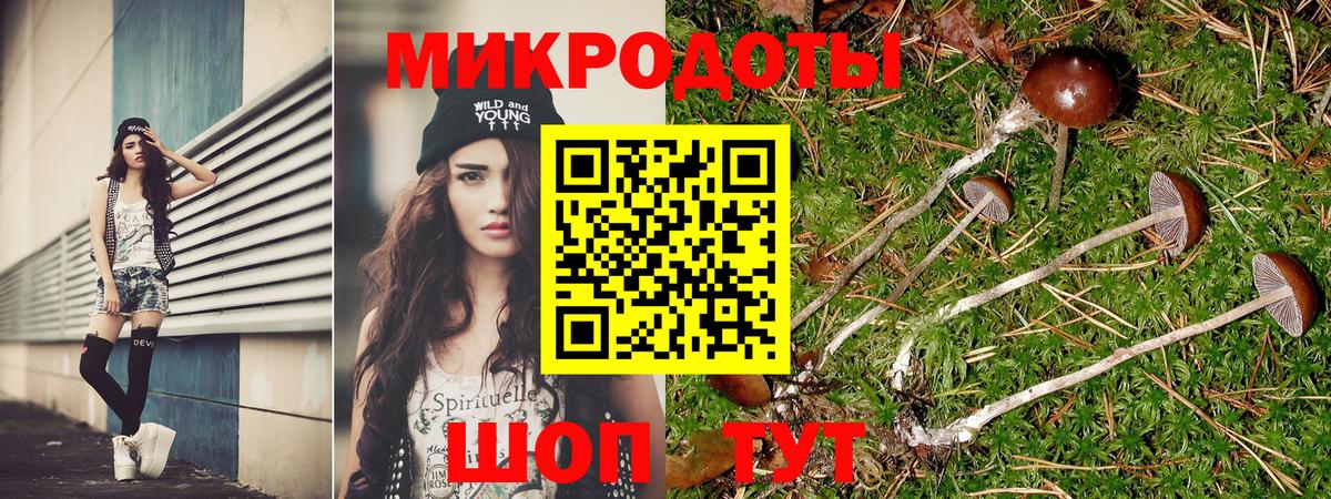 Кольчугино  Псилоцибиновые грибы Magic Shrooms  Вход с VPN 
