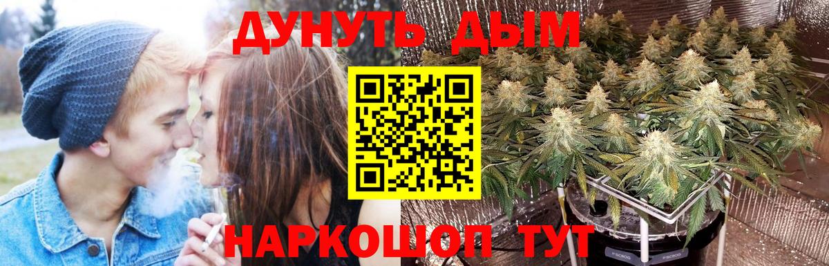 Шишки марихуана OG Kush Кольчугино